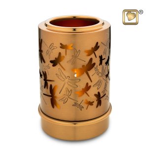 Reflections of Spirit