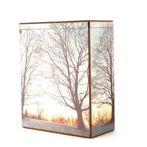 AUMS110 Serenity Scattering Urn