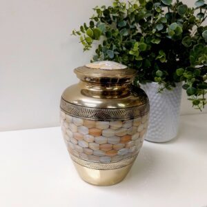Gold Mother of Pearl